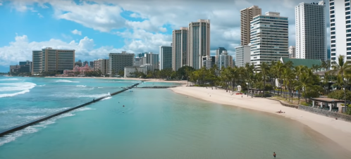 A scenic view of a beach with clear water, palm trees, and a skyline of tall buildings under a blue sky.