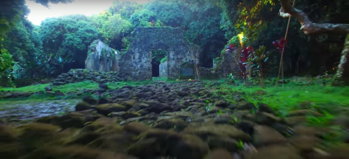 Ruins of an ancient structure surrounded by lush greenery and stones, with vibrant plants in the foreground.