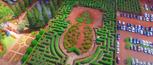 Aerial view of a lush green maze with a central garden design, surrounded by trees and parked cars.