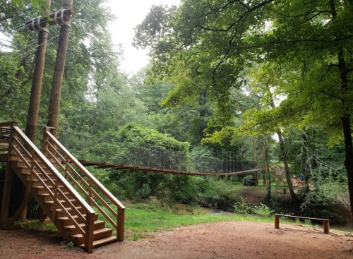 A wooden bridge with a rope walkway connects two sides of a forested area, with stairs leading up to it.
