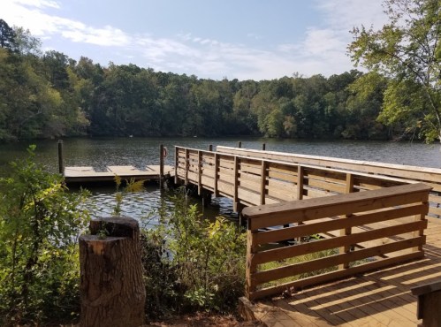 A wooden dock extends into a calm lake, surrounded by lush green trees and a serene landscape.