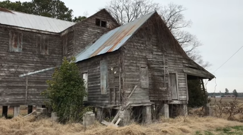 Abandoned wooden house with a rusty metal roof, overgrown with vines, set in a grassy field under a gray sky.