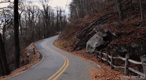 Winding road through a wooded area with bare trees and rocky terrain, surrounded by fallen leaves.