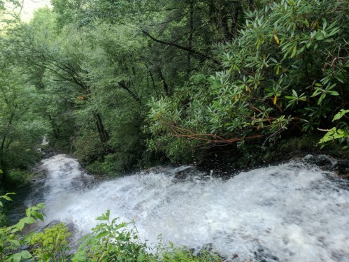 A cascading waterfall flows through a lush green forest, surrounded by trees and foliage.