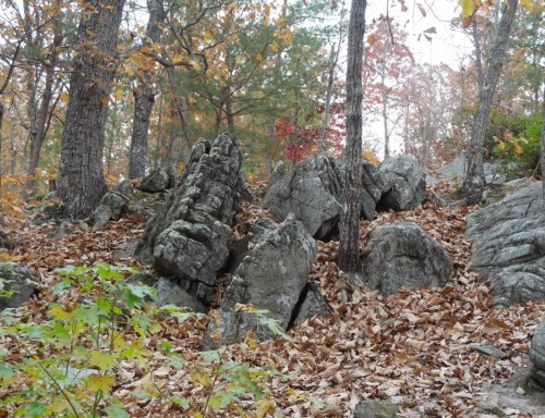 Rocky terrain covered with autumn leaves, surrounded by trees with colorful foliage.