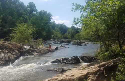 A serene river flows through rocky terrain, surrounded by lush green trees under a clear blue sky.