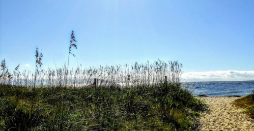 A sunny beach scene with tall grass and a sandy path leading to the ocean under a clear blue sky.