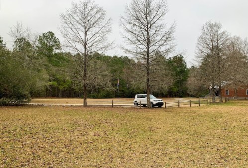 A white van parked on a grassy area surrounded by bare trees and a wooded background on a cloudy day.
