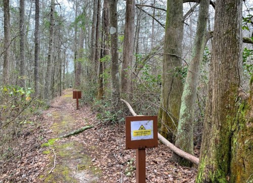 A forest trail with warning signs on either side, surrounded by trees and underbrush.
