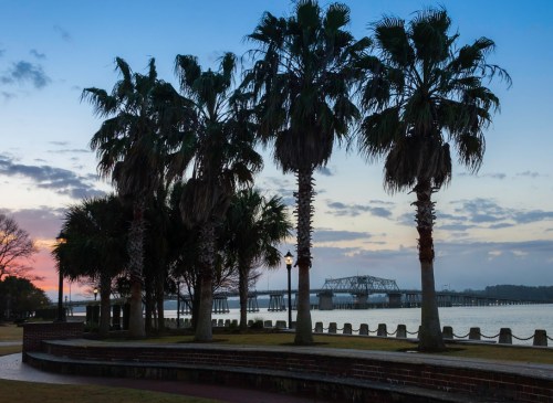 Silhouetted palm trees against a colorful sunset sky, with a bridge in the background over calm waters.