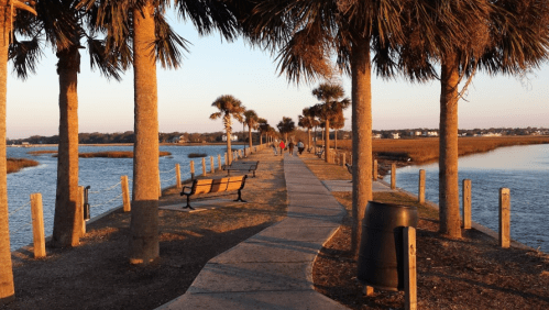 A scenic walkway lined with palm trees, leading to a waterfront at sunset, with people strolling along the path.