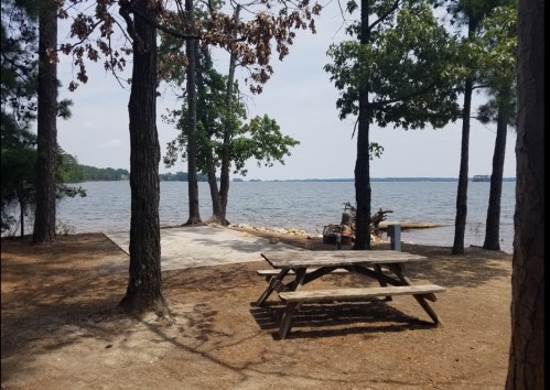 A picnic table by the water, surrounded by trees, with a calm lake in the background under a clear sky.