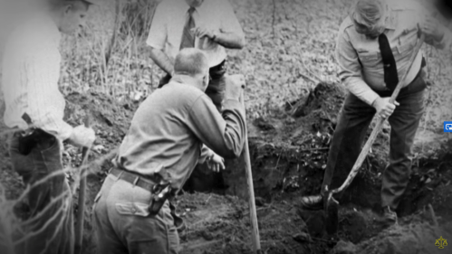 Black and white photo of four men digging in the ground, focused on their task in a wooded area.