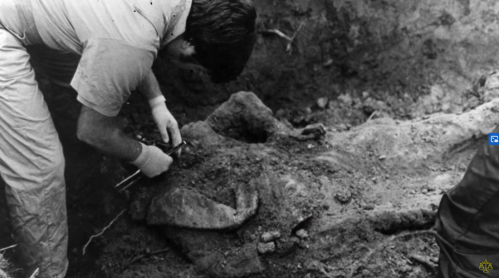 A person excavates a buried object in a dirt-filled area, using tools to carefully uncover it.
