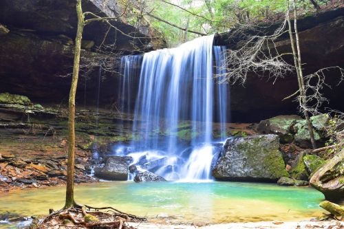 A serene waterfall cascades over rocks into a clear pool, surrounded by lush greenery and tree branches.