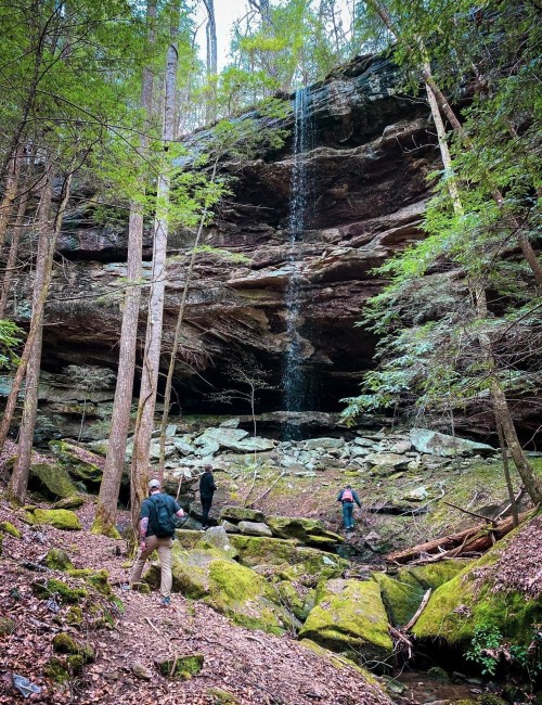 Hikers explore a mossy forest with a waterfall cascading from a rocky cliff in the background.