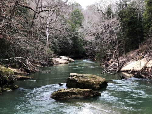 A serene river flows through a wooded area, with large rocks and bare trees lining the banks.