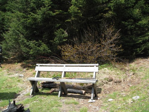 A wooden bench sits in a grassy area surrounded by trees and shrubs.