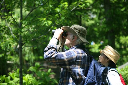 A man in a hat uses binoculars while a woman in a straw hat stands nearby, surrounded by greenery.
