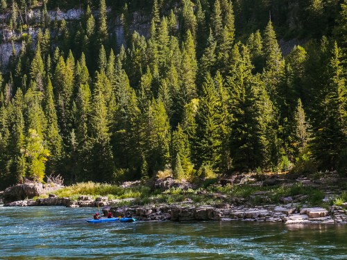 Two kayakers paddle on a river surrounded by lush green trees and rocky banks under bright sunlight.