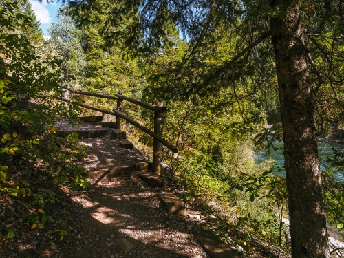 A scenic forest path with wooden railings, surrounded by lush greenery and a glimpse of water in the background.