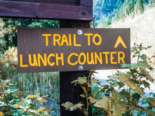 A wooden sign with yellow text reading "Trail to Lunch Counter," pointing upward amidst greenery.