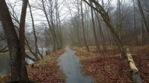 A misty path lined with bare trees and fallen leaves, leading alongside a calm river.