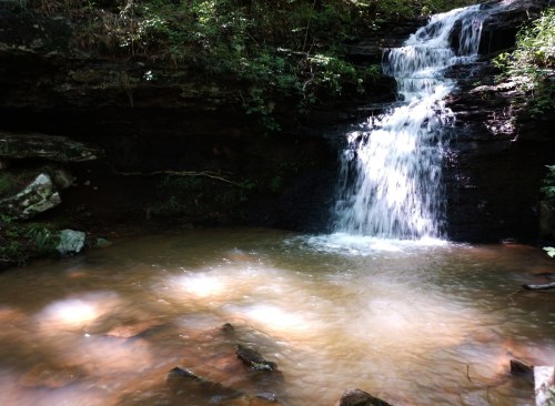 A serene waterfall cascading into a calm, muddy pool surrounded by lush greenery and rocky terrain.
