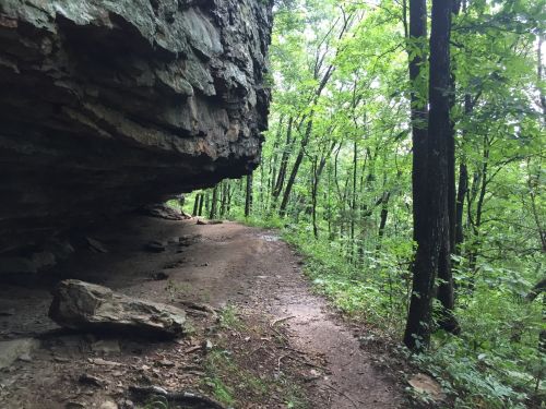 A narrow dirt path winds through a lush green forest, with a large rock overhang above.