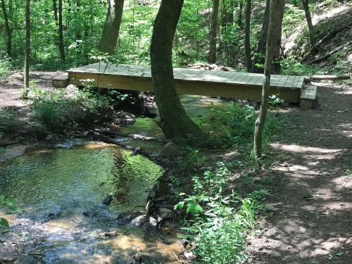 A wooden bridge over a small stream in a lush green forest, surrounded by trees and foliage.
