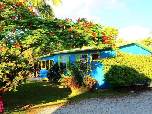 A vibrant blue house surrounded by lush greenery and colorful flowers under a sunny sky.