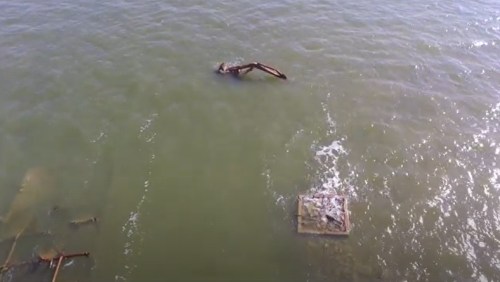 Aerial view of a submerged structure and debris in greenish water, with gentle waves and ripples.