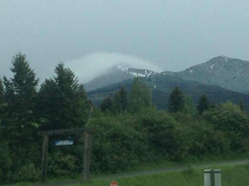 A misty mountain landscape with snow-capped peaks and lush green trees in the foreground.
