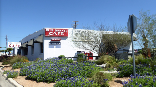 Exterior of Blue Bonnet Cafe with signage, surrounded by desert plants and a clear blue sky.