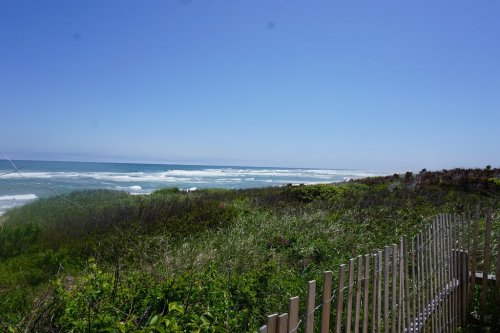 A serene beach scene with gentle waves, green grass, and a wooden fence under a clear blue sky.