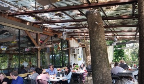 A lively outdoor dining area with people enjoying meals under a covered patio surrounded by trees.