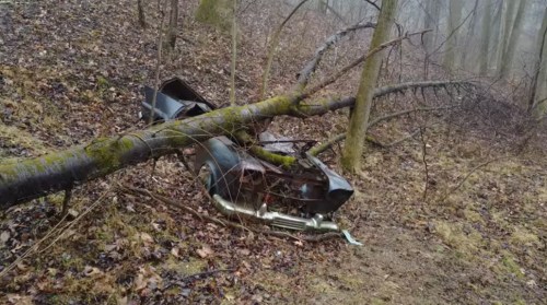 An abandoned car partially covered by a fallen tree in a foggy, wooded area.