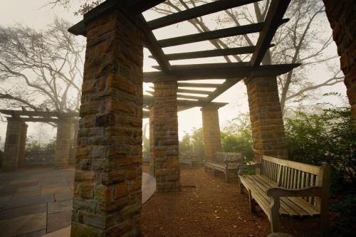 A misty garden with stone pillars and wooden benches, surrounded by trees and greenery.