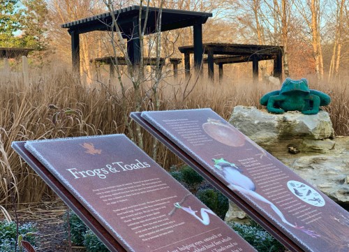 Two informational signs about frogs and toads in a natural setting, with a green frog sculpture in the background.
