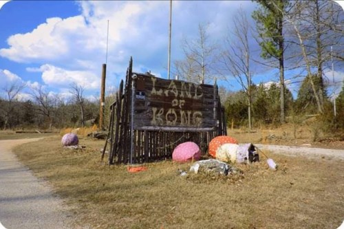 A weathered sign reading "Land of Kong" near a dirt road, surrounded by discarded items and trees under a cloudy sky.