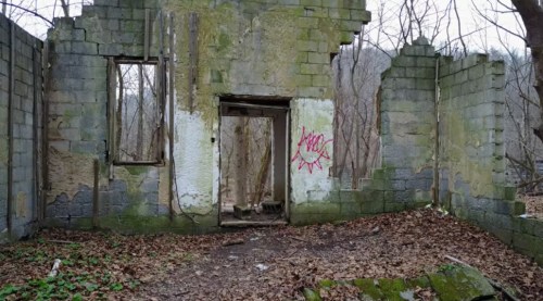 Abandoned stone building with crumbling walls, a doorway, and graffiti, surrounded by trees and fallen leaves.
