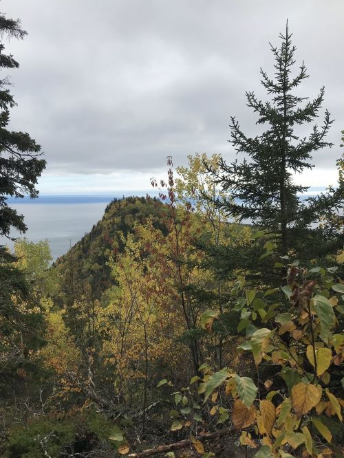 A scenic view of a coastal landscape with autumn foliage and a cloudy sky.