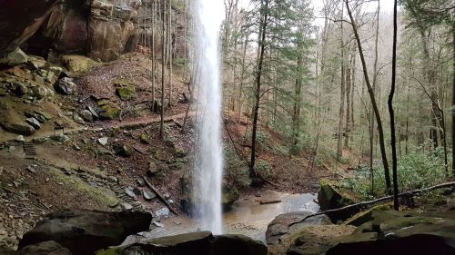 A waterfall cascades down rocky cliffs surrounded by lush green trees in a serene forest setting.