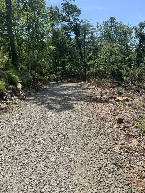 A gravel path winds through a forested area, with trees lining the sides and two people walking in the distance.