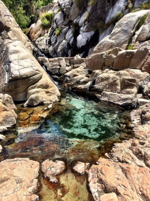 A serene rocky landscape featuring a clear pool of water surrounded by smooth stones and lush greenery.