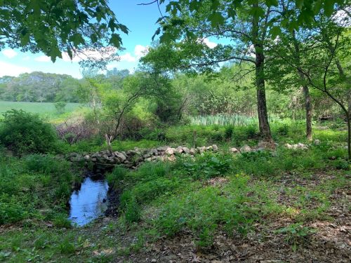 A serene landscape featuring a small stream, lush greenery, and trees under a clear blue sky.