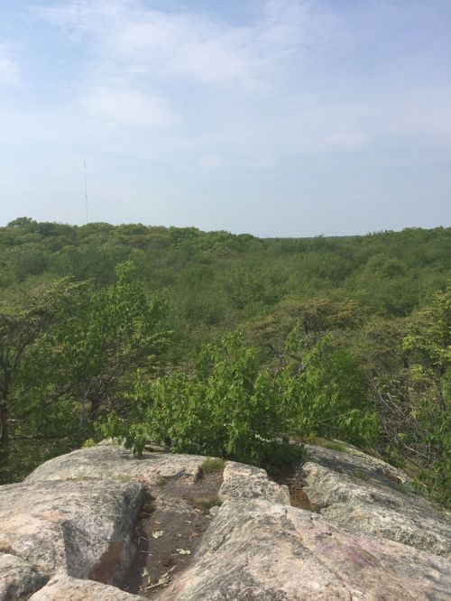 A rocky outcrop overlooks a lush green forest under a clear sky.