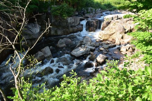 A serene river flows over rocks, surrounded by lush greenery and trees, with a small waterfall in the background.