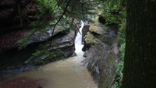 A serene waterfall cascades between rocky cliffs, surrounded by lush greenery and a calm, muddy stream below.