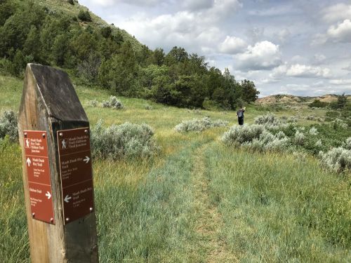 A hiking trail signpost in a grassy area, with a person walking in the distance under a cloudy sky.